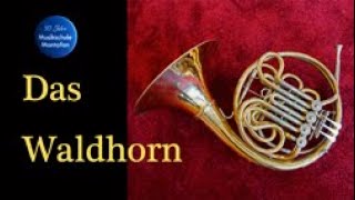 Waldhorn  Instrumentenvorstellung [upl. by Weinshienk]