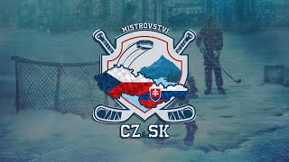 🔴LIVE Majstrovstvá Česka a Slovenska v rybníkovom hokeji 2024  Mestský Park [upl. by Moise]