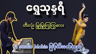 ရွှေသုန္ဒရီ တီးလုံးမြူးမြူးလေး karaokemusic piano flmusic karaoketracks subscribe [upl. by Noteloc]