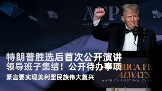 特朗普胜选后首次公开演讲：领导班子集结！公开待办事项，豪言要实现美利坚民族伟大复兴｜新闻特写20241116 [upl. by Shere]