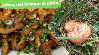 Setas del bosque al plato [upl. by Zumwalt]