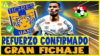 🔥¡OCURRIÓ HOY ¡NEGOCIO CERRADO TOMÓ A TODOS POR SORPRESA¡LAS ÚLTIMAS NOTICIAS DE TIGRES DE HOY [upl. by Neersan]