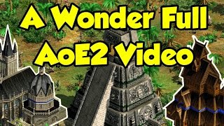 AoE2 vs History Wonders [upl. by Notna]