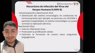 Virus Herpes 8 Sarcoma de kaposi [upl. by Novehc]