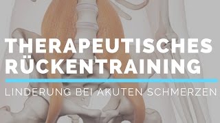 Professionelles Rückentraining gegen akute Schmerzen [upl. by Winfred973]