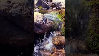 The Del Del Ki delicious life energy metal music rock mountains hiking nature [upl. by Siana930]