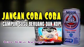 BEGINI JADINYA JIKA SUSU BERUANG DI CAMPUR DENGAN KOPI [upl. by Sacks]