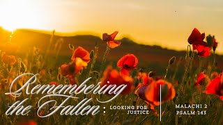 Remembering the Fallen Looking for Justice [upl. by Lydon]