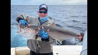 Amberjack attack with underwater footage [upl. by Nnyllatsyrc]