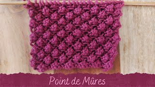 POINT AU TRICOT  Point de Mûres [upl. by Alfy]