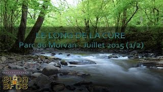 Le long de la Cure  Une semaine de Bushcraft dans le Morvan 1 Eng amp FR sub [upl. by Nickola180]