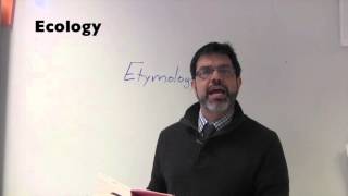 How to Find Etymology [upl. by Cohe]