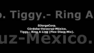 GenteDJ Tiggy Ring A Ling Flex Disco Mix [upl. by Aneehsak12]