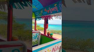 Aruba’s Cultural Island Tour with Kukoo Kukunu 🇦🇼 aruba adventure travel ytshorts shorts [upl. by Edia594]