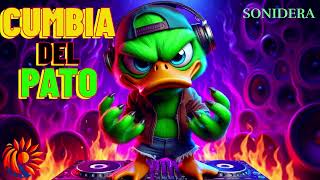 CUMBIA DEL PATO [upl. by Ednalrym]