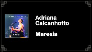 Adriana Calcanhotto  Maresia Letra [upl. by Andras]