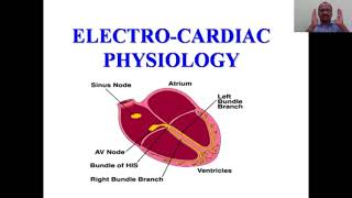 Electrophysiology Of Heart [upl. by Lac]