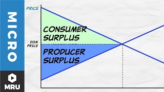 Exploring Equilibrium [upl. by Colville]