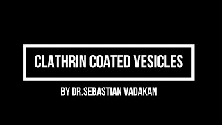 Clathrin Coated Vesicles [upl. by Maro216]