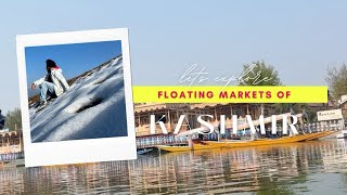 Kashmir Trip  Mini vlog  Kashmir Tour  kashmirtour kashmir [upl. by Lorn]