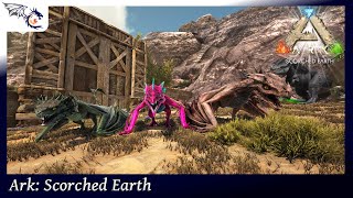 Hatching Wyvern Eggs  ARK Scorched Earth 45 [upl. by Fidele]