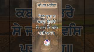 Maghar Di Sangrand  Gurbani Giani Sahib Singh Ji [upl. by Nadual]