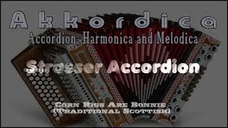 Best Accordion VST VST3 Audio Unit Corn Rigs Are Bonnie with Akkordica Strasser Strings Piano [upl. by Radnaxela]