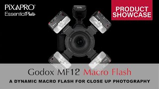 Godox MF12  The Dynamic Macro Photography Flash [upl. by Atiras87]