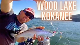 How to Kokanee Fishing Downrigger and Controlled Depth Trolling Wood Lake BC [upl. by Salaidh]