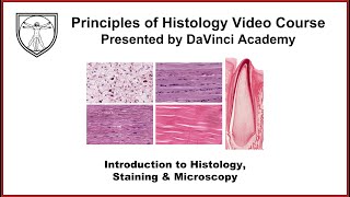 Introduction to Histology Staining and Microscopy [upl. by Latsyrcal383]