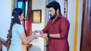 Karthigai deepam serial review Nov 21 [upl. by Mastat924]