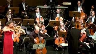 Beethoven Triple Concerto CMajor Opus 56 [upl. by Rosemaria]