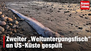 Zweiter „Weltuntergangsfisch“ an USKüste gespült  kronetv NEWS [upl. by Axela494]