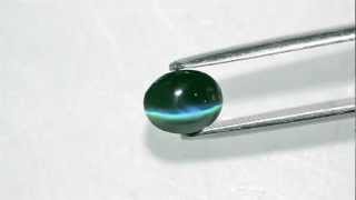 225Carat Dark Green Alexandrite Cats Eye 100 ColorChange [upl. by Tara423]