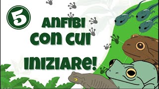 5 Anfibi Per iniziare [upl. by Nnybor]