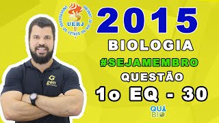 UERJ 2015  1o EQ  Questão 30  No cladograma está representado o grau de parentesco entre diferent [upl. by Nyrahtak672]