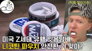 미국에서 난리난 Z세대의 잇몸 담배 니코틴 파우치 2분요약 [upl. by Havot]