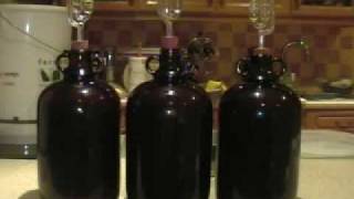 How to Make Wine from Grapes at Home [upl. by Leind]