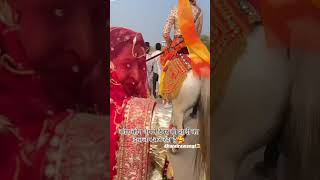 marwadi song vivha git rajasthani Song youtubeshorts [upl. by Vernon]