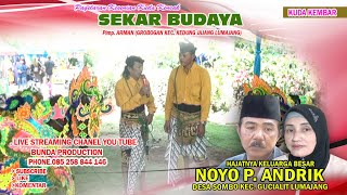 KUDA KEMBAR SEKAR BUDAYA [upl. by Sulokcin]