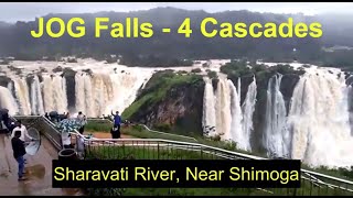 JOG Falls Shimoga Karnataka  JULY Monsoon Rains  Third Highest Falls in INDIA [upl. by Dobrinsky]