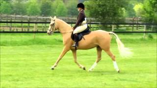 first ridden show BCA [upl. by Newberry]