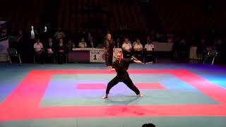 Musical Forms Demonstration WAKO European Championships 2018 [upl. by Eiramlatsyrc]