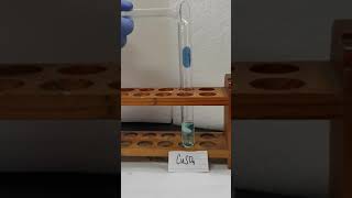 Cupric Sulfate and Barium Chloride [upl. by Nonnad]