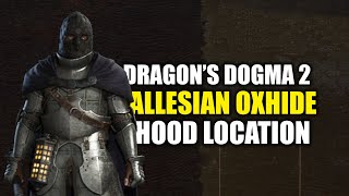 Dragons Dogma 2  Allesian Oxhide Hood Location Fighter Thief amp Warrior [upl. by Lledualc632]