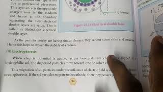 Electrophoresis and electro osmosis12th chemistrysurface chemistry in தமிழ் 🙂 [upl. by Akino]