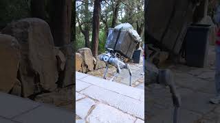 Use of robots to collect garbage shorts [upl. by Ahtis]