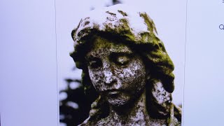 She Died and Turned to Stone in 45 Minutesthis case was Well Researched and documented [upl. by Manvell]