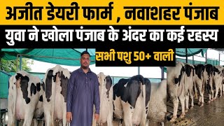 इस युवा की सोच बना देगा पंजाब किंगAjit dairy farm punjabdairy farm punjabhf cow for sale in punjab [upl. by Letnoj]