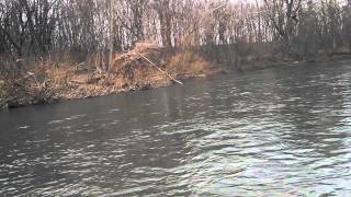 Canoeing the Sandusky River in seneca county [upl. by Anyahs]